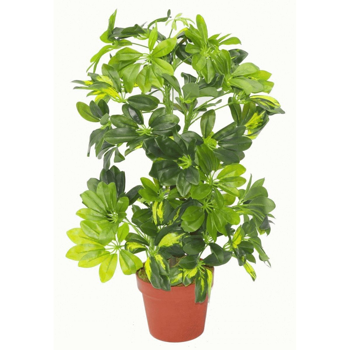 75cm Artificial Arboricola Gold Capella Natural Plant