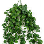 75cm Artificial Trailing Round Leaf Foliage Plant Deep Forest Green