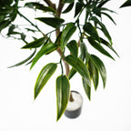 120cm UV Resistant Artificial Japanese Ficus Leaf Tree