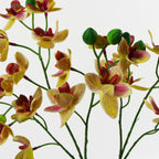 43cm Large Pink Yellow Artificial Orchid in Ceramic Planter