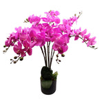 85cm Artificial Deluxe Bush Orchid Dark Pink with Black Pot