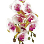 48cm Harlequin Orchid Artificial Pink with Gold Pot