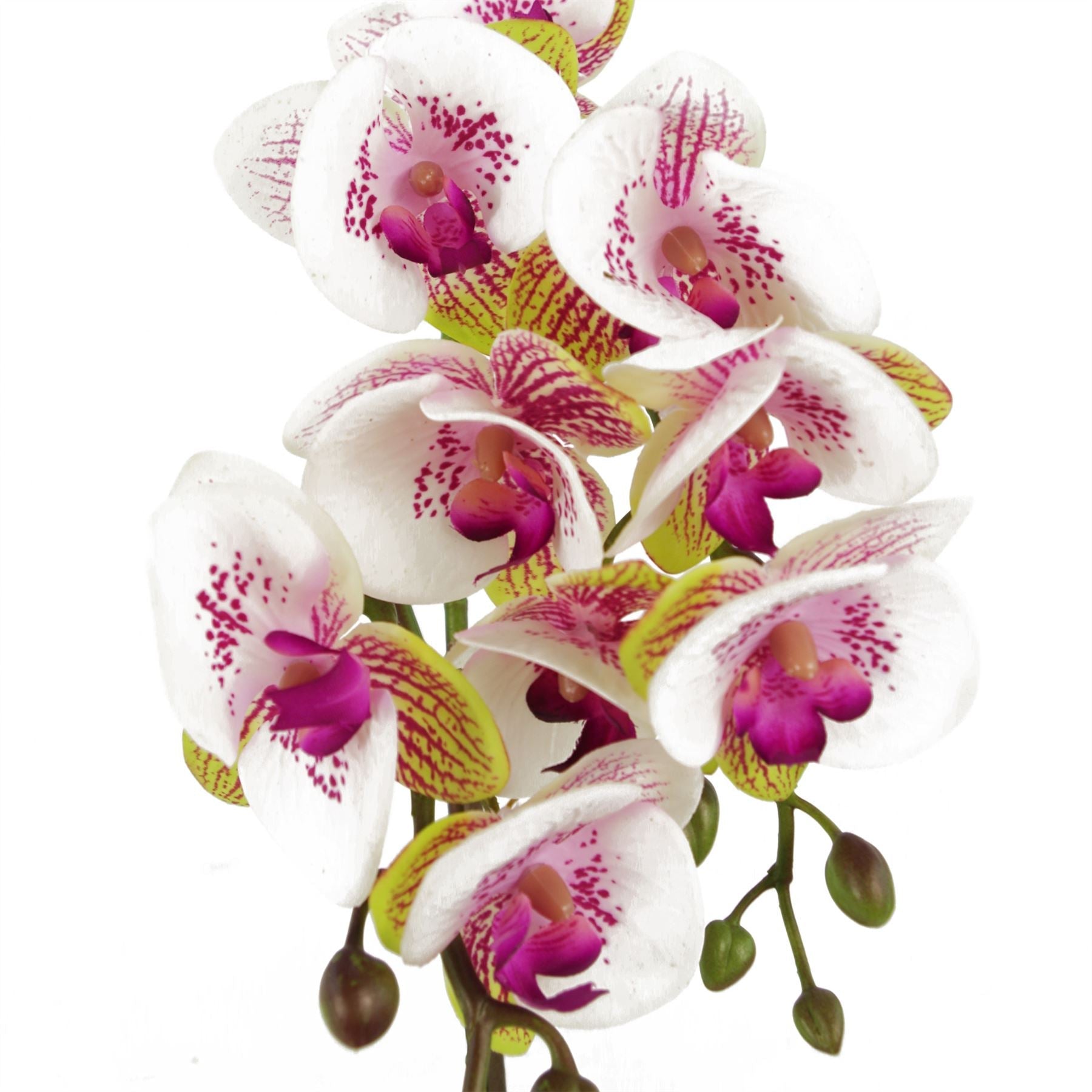 48cm Harlequin Orchid Artificial Pink with Gold Pot