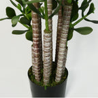 Faux Deluxe 75cm Artificial Green Jade Plant