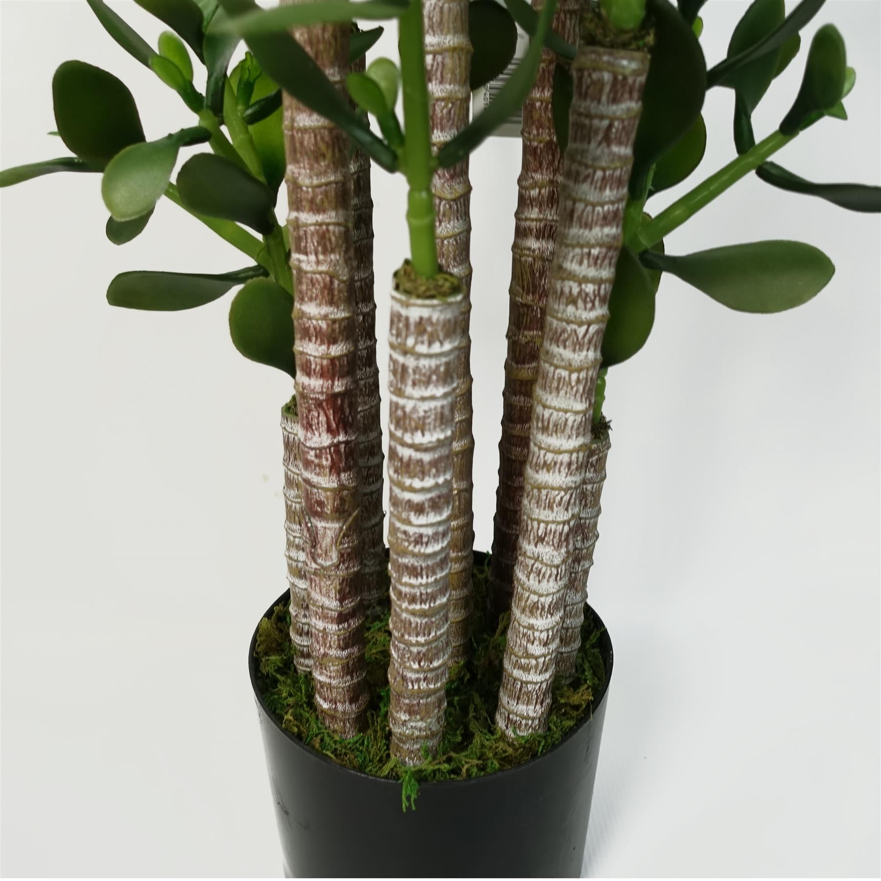 Faux Deluxe 75cm Artificial Green Jade Plant