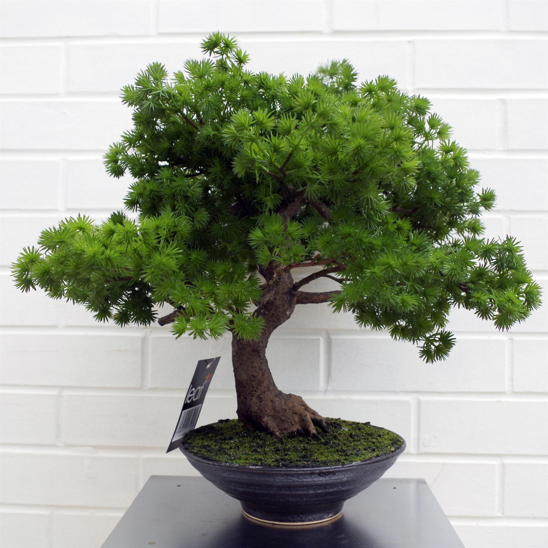 Artificial Luxury Pine Bonsai Tree 50cm