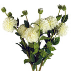 75cm Artificial Dahlia PomPom Flowers Cream