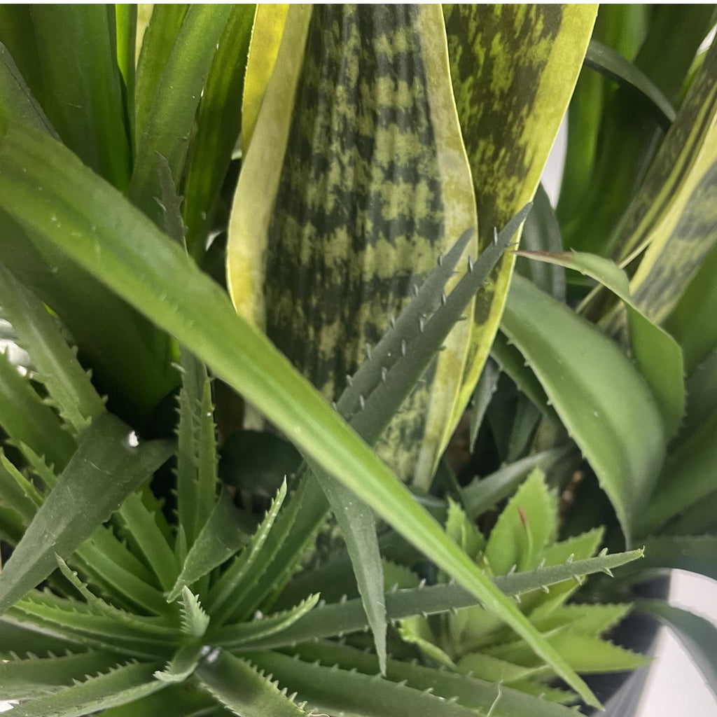 100cm Yukka Display in Pot Artificial