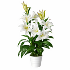 Artificial 90cm Lily Stargazer Style Lillies Plant Large Flowers White