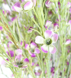 100cm Artificial Foliage with Small Flowers Purple