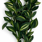 45cm Artificial Variegated Foliage Spray Stem
