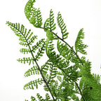 50cm Artificial Southern Wood Fern Bush Dark Green Plant