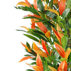 Artificial 130cm Red Green Ficus Tree