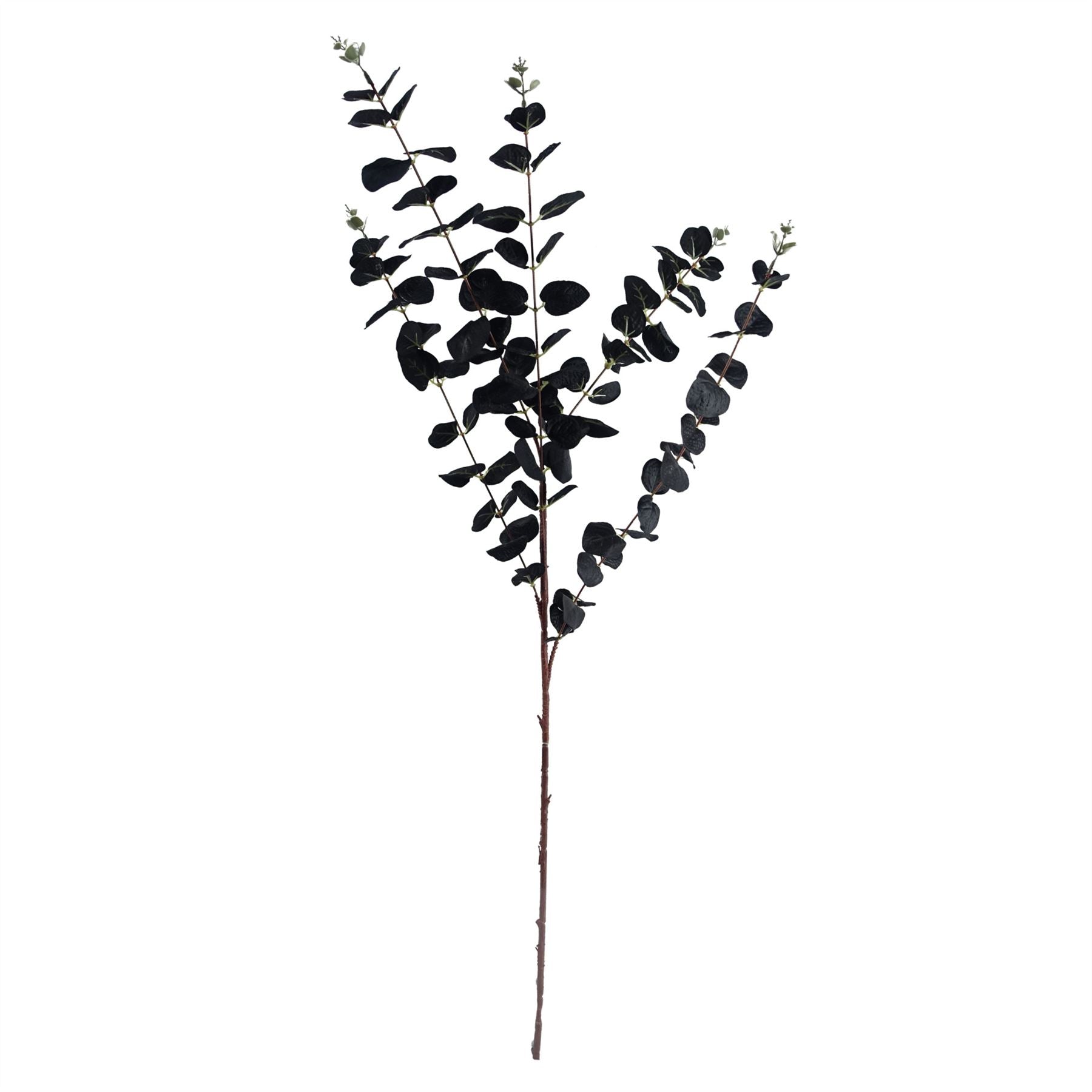 80cm Artificial Black Eucalyptus Foliage Stem