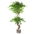 150cm Twisted Trunk Artificial Fruticosa Ficus Tree Silver Planter
