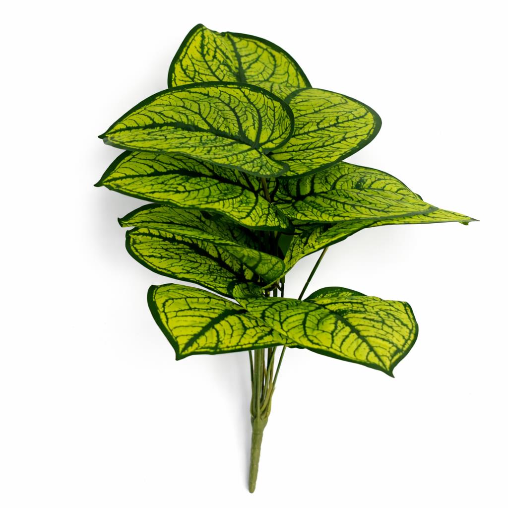 60cm Artificial Caladium Stem Plant Bright Green Variegated Foliage