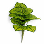 60cm Artificial Caladium Stem Plant Bright Green Variegated Foliage