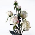 55cm Cream Peony Artificial Flowers Spray 4 Flowers 3 Buds