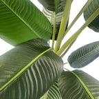 150cm Artificial UV Traveller Banana Palm Tree