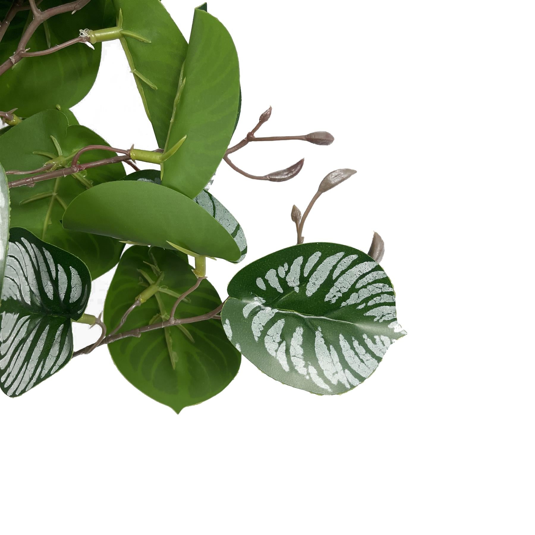 70cm Artificial Zebra Foliage