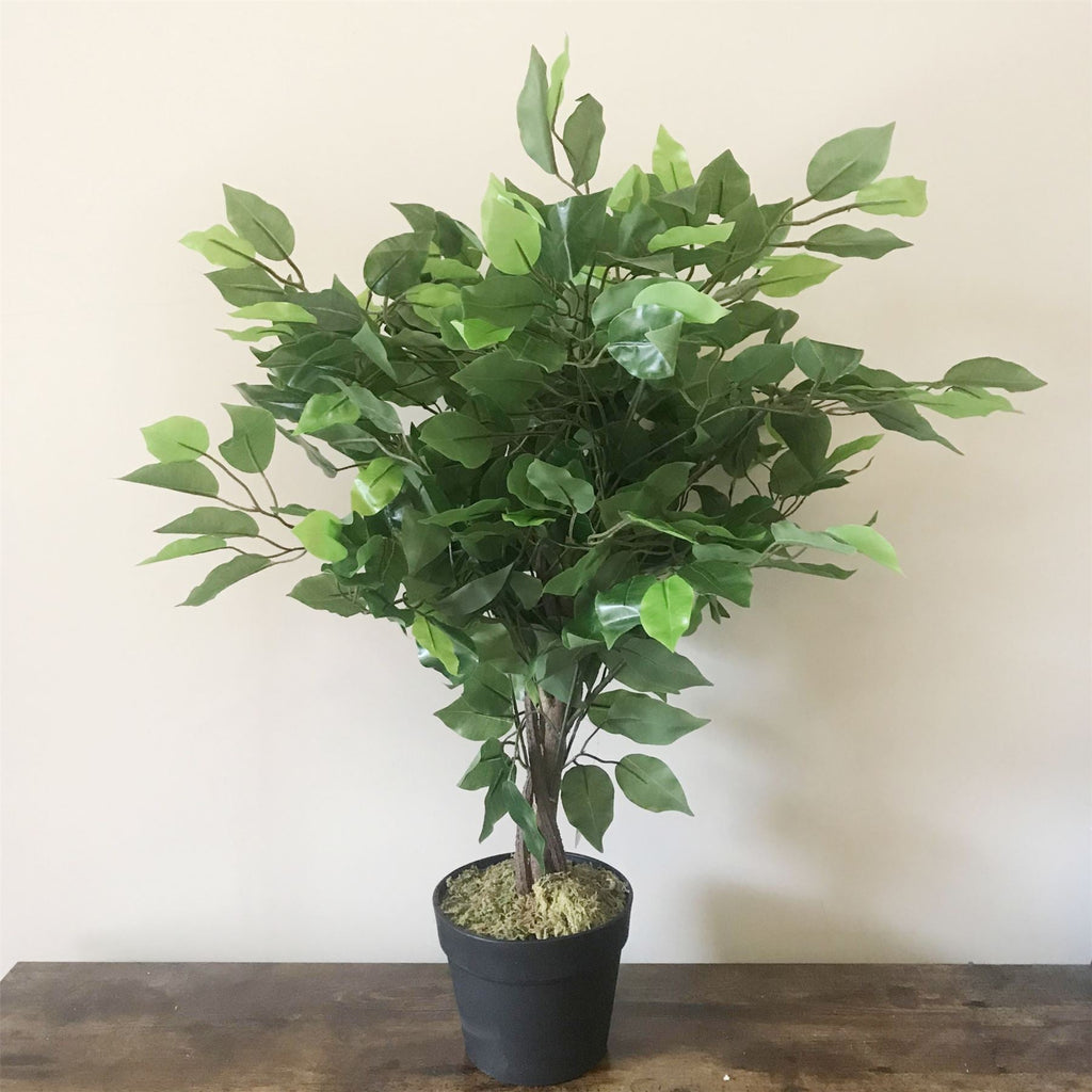 60cm Artificial Ficus Tree Large Bushy Shape