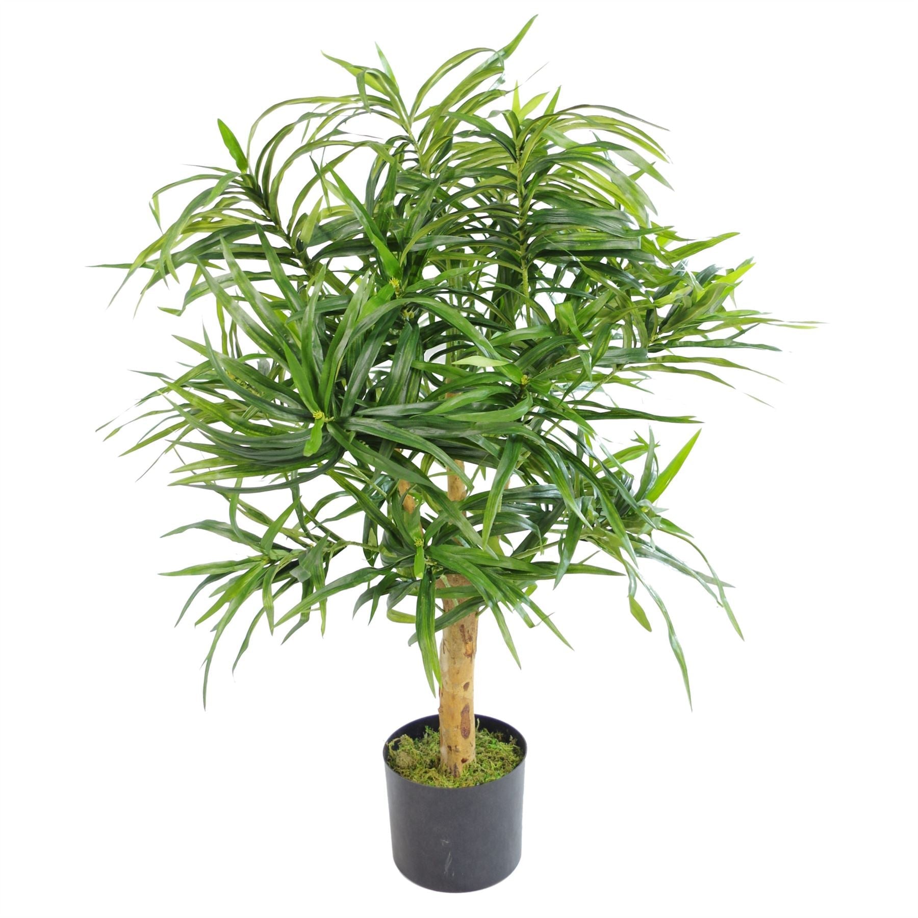 Artificial 100cm Dracaena Plant Tree with Pot Premium Range