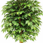 150cm Artificial Ficus Tree