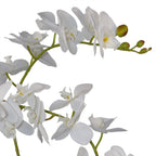 65cm Luxury Artificial Orchid 3 Stems Soft White Plant