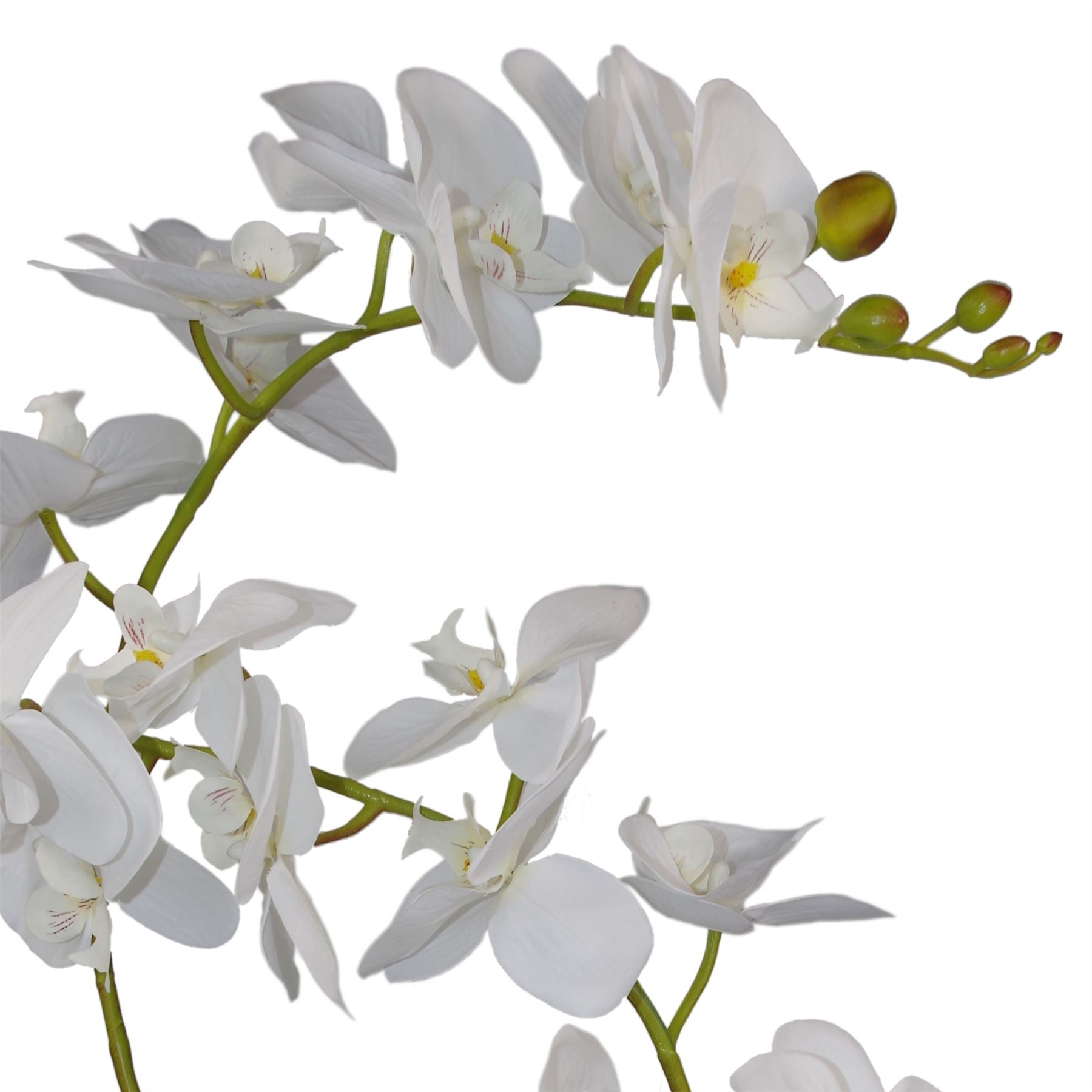65cm Luxury Artificial Orchid 3 Stems Soft White Plant