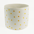 Gold Dot Planter Plant Pot 18 x 18 x 15cm WhiteWhite