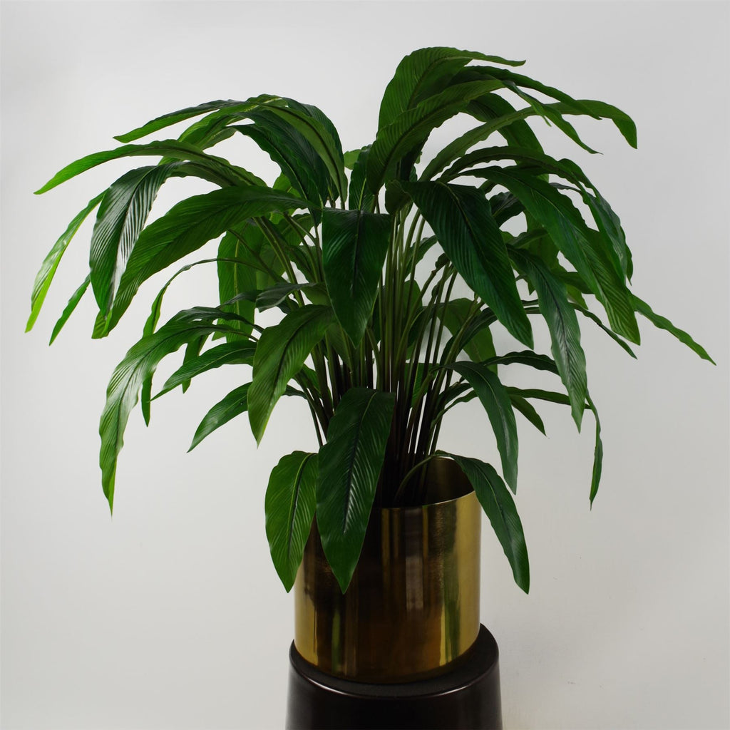 60cm Artificial Calathea Evergreen Plant