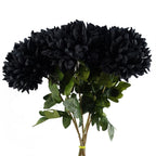 75cm Artificial Extra Large Reflex Chrysanthemum Black