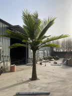 Konstgjord Royal Palm 4–7 m – RealTex™ UV-beständig Premiumpalm för Lobbyer & Resort