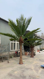 Konstgjord Royal Palm 4–7 m – RealTex™ UV-beständig Premiumpalm för Lobbyer & Resort