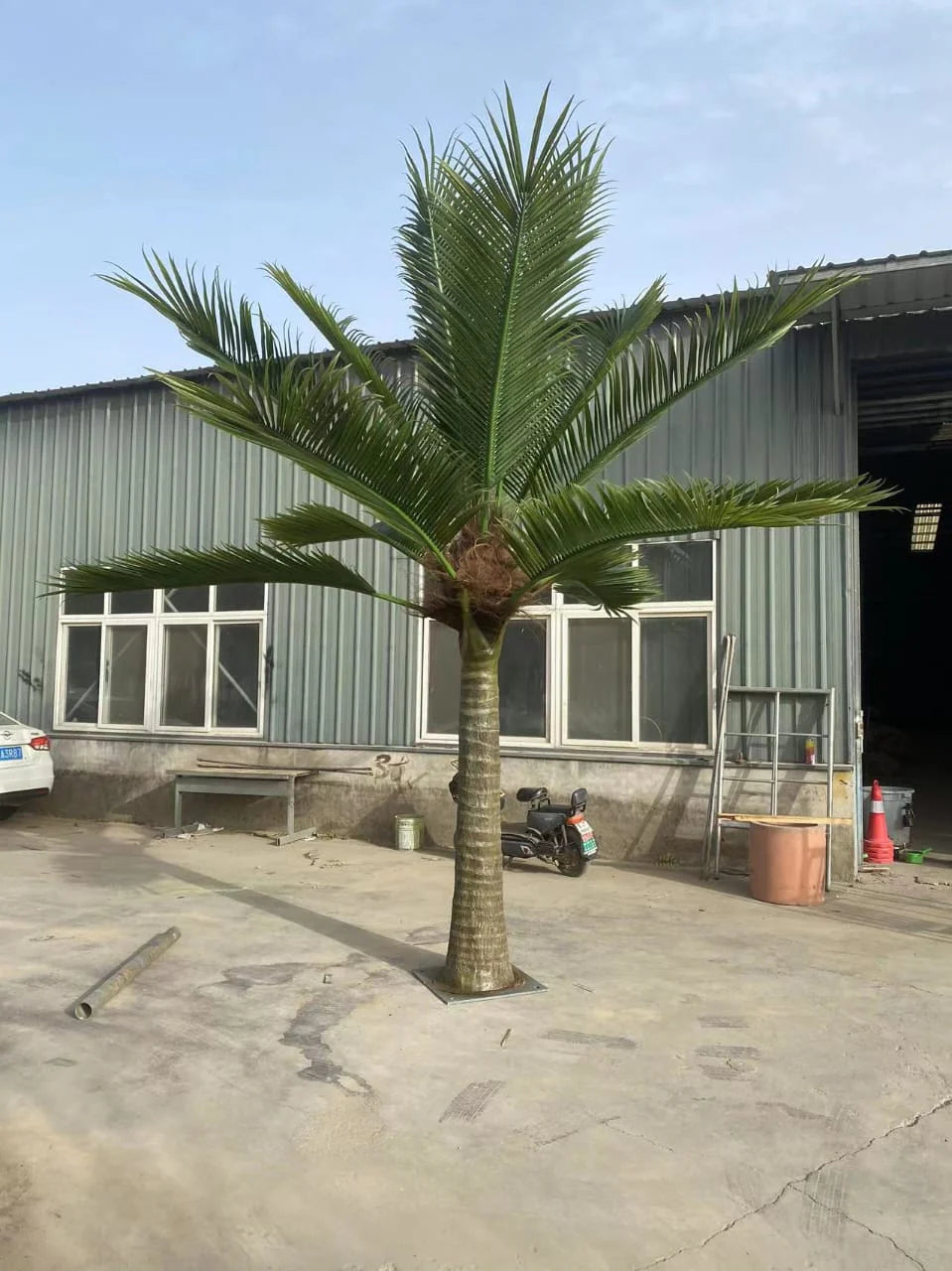 Konstgjord Royal Palm 4–7 m – RealTex™ UV-beständig Premiumpalm för Lobbyer & Resort