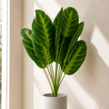 65cm Artificial Dieffenbachia Stem Plant Faux Green Foliage