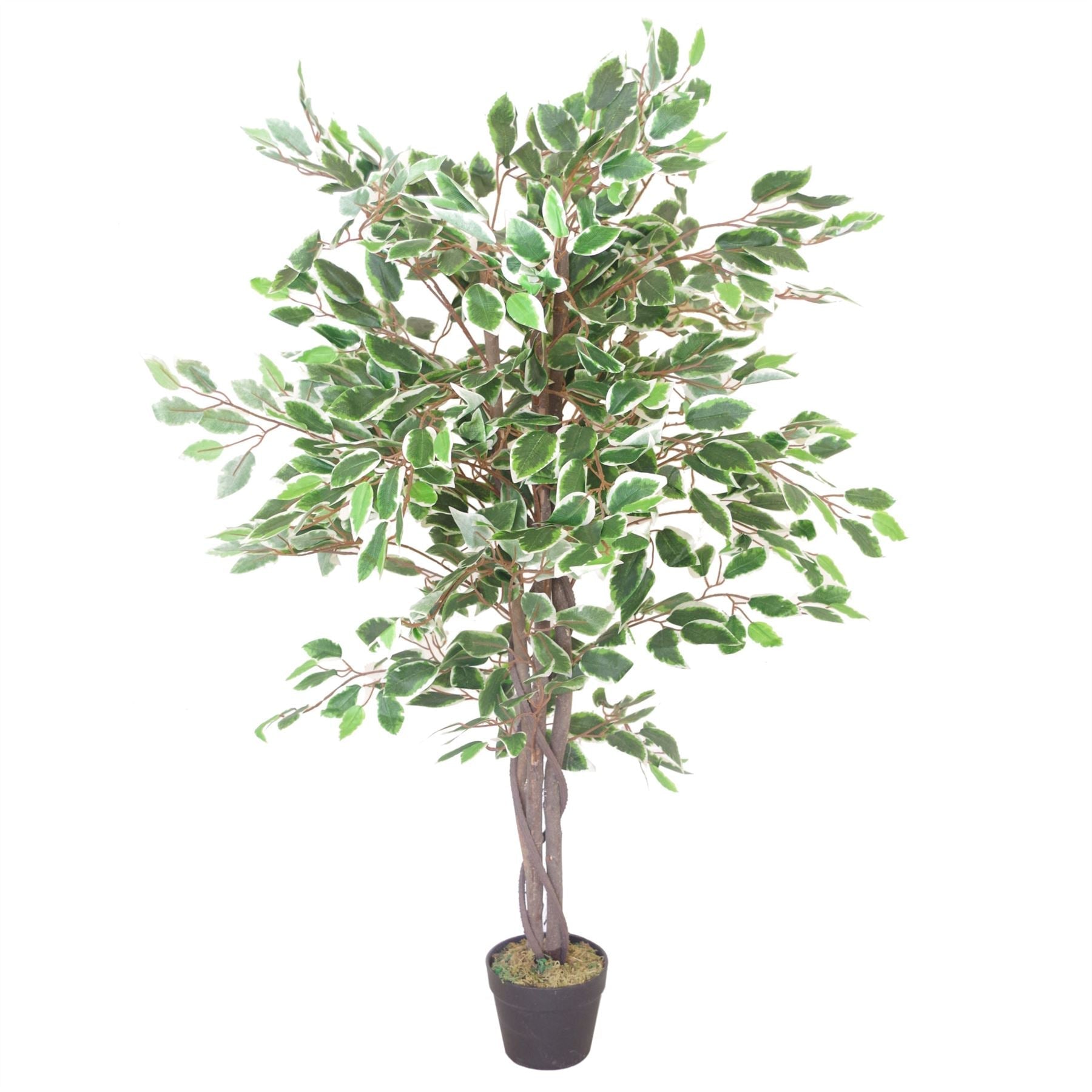 130cm LARGE Realistic White Edge Ficus Artificial Tree