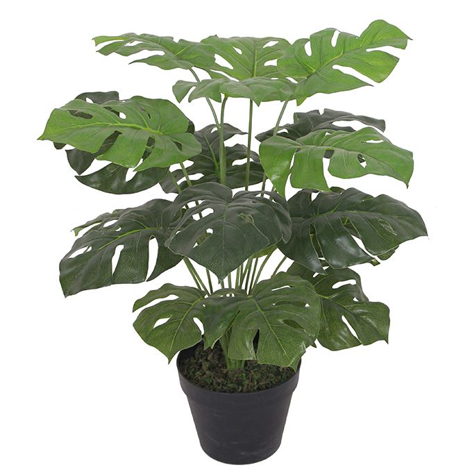 Artificial Monstera Plant 60cm Monstera