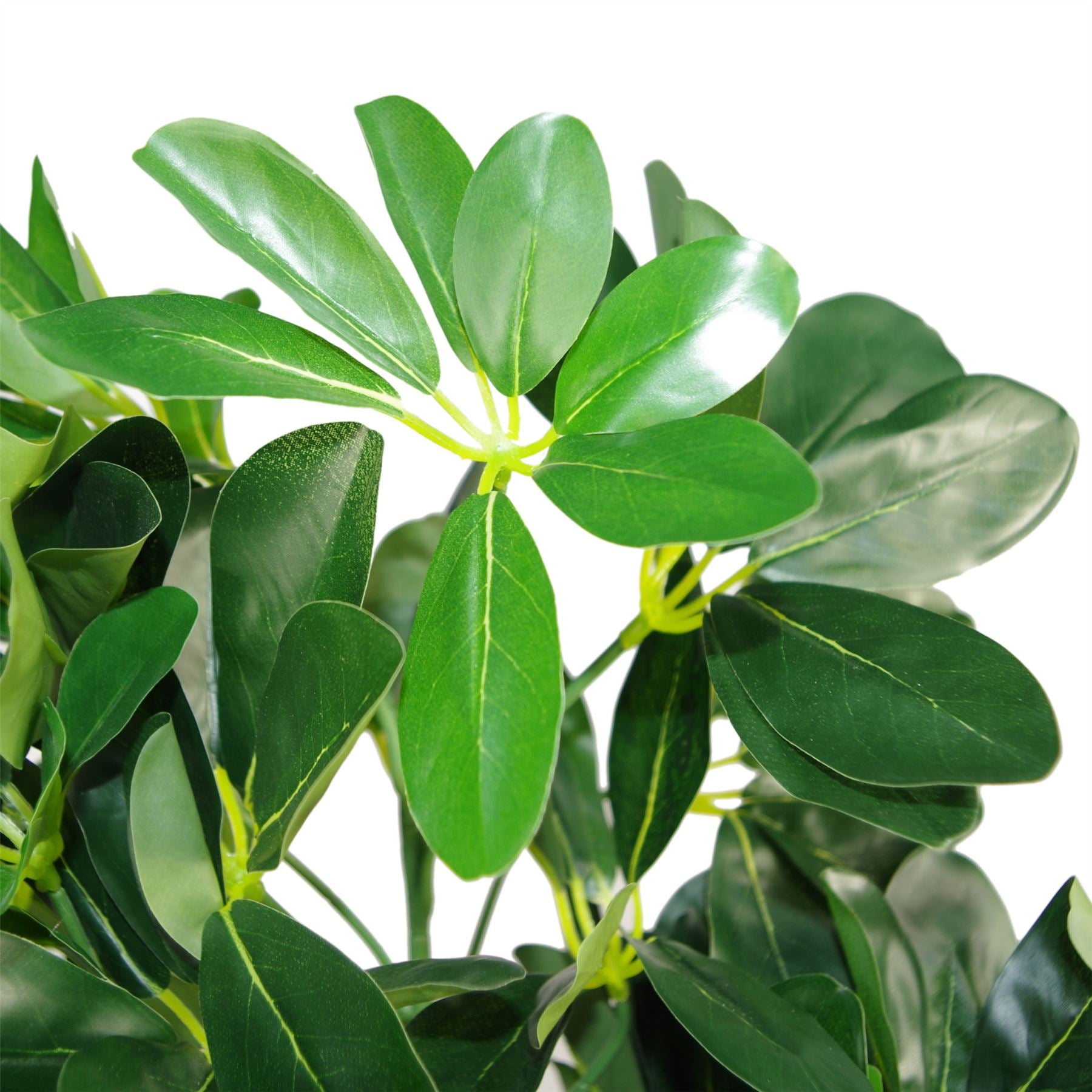95cm Umbrella Tree Dark Ficus Green Artificial Plant