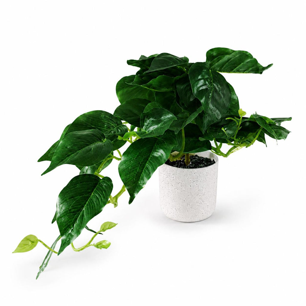 30cm Artificial Mini Pothos in Decorative White Pot