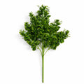 75cm Artificial Boxwood Budding Foliage Bush Stem