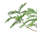 240cm Jacaranda Realistic Artificial Tree