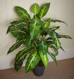 100cm Large Spotted Evergreen Tree Artificial Plant