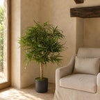 Artificial 100cm Dracaena Plant Tree with Pot Premium Range