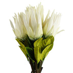 65cm Artificial Protea Sugarbush Flower Stem White