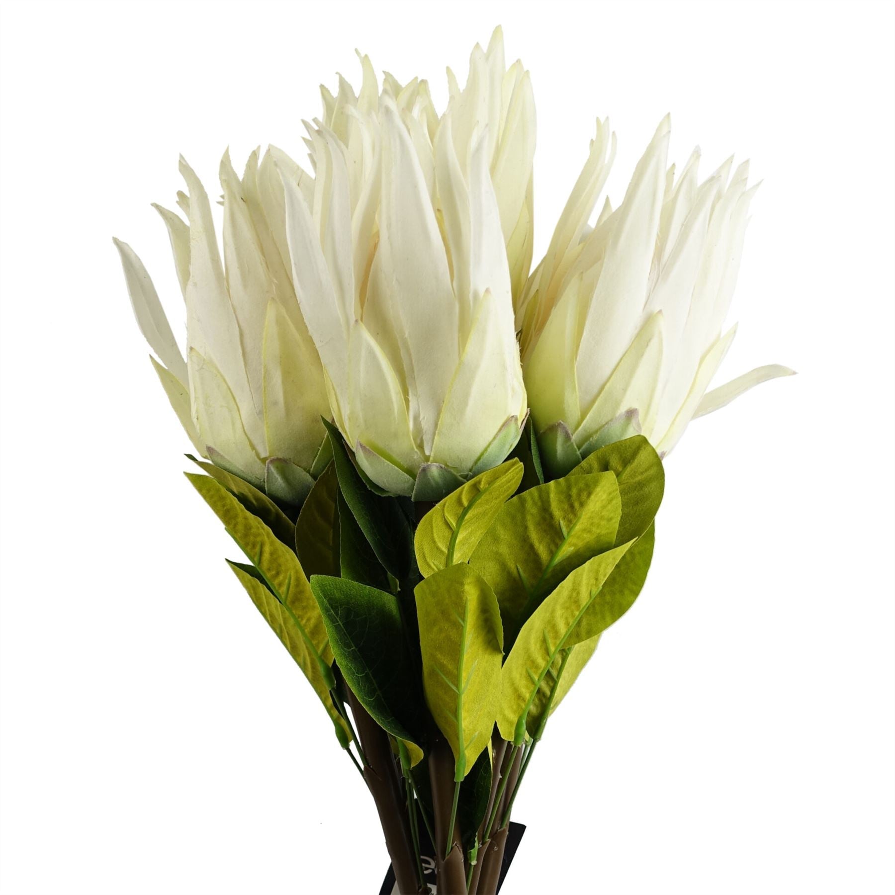 65cm Artificial Protea Sugarbush Flower Stem White