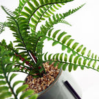 40cm Artificial Fern with Ceramic Planter Stand
