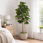 180cm Artificial Fiddle Fig Deluxe Tree