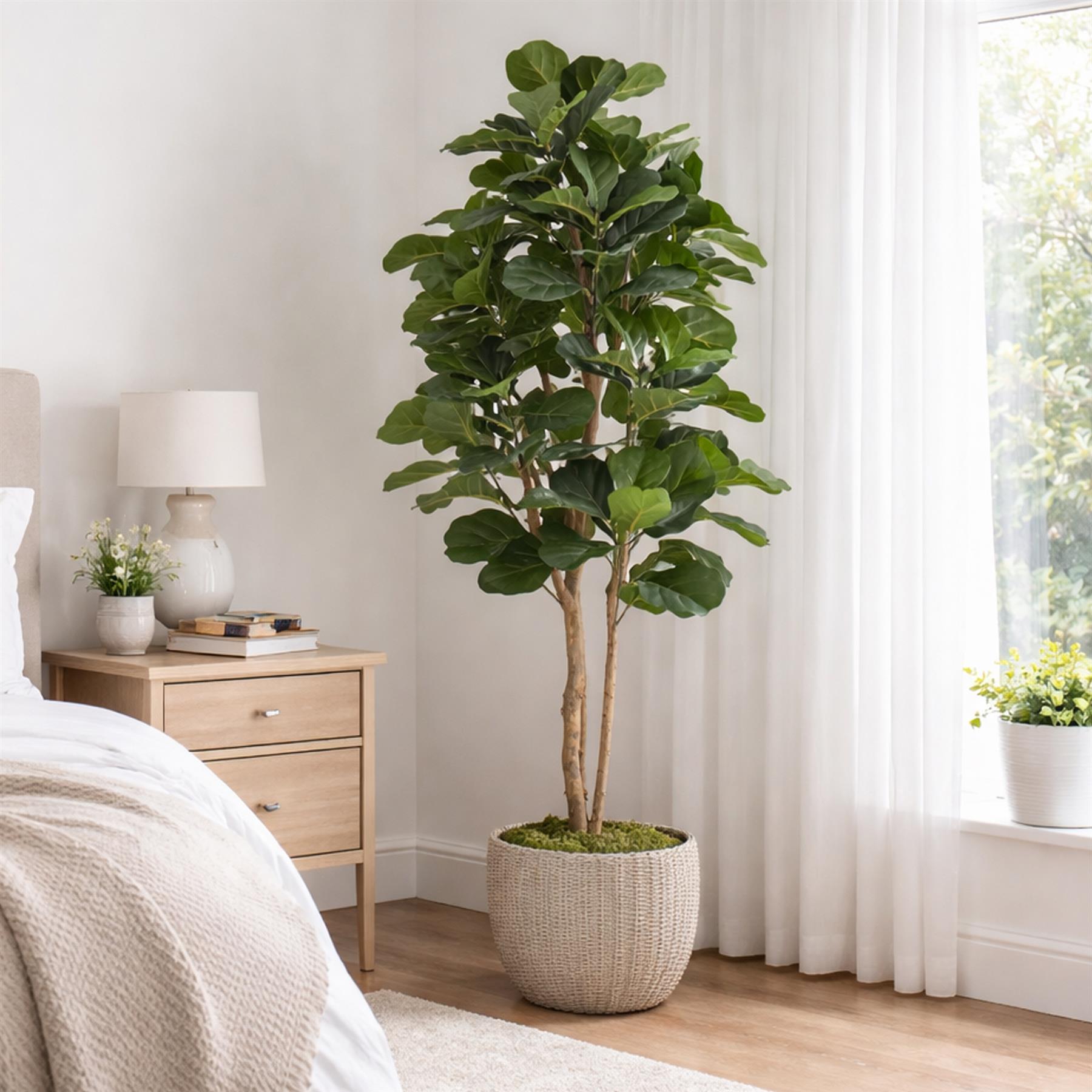 180cm Artificial Fiddle Fig Deluxe Tree