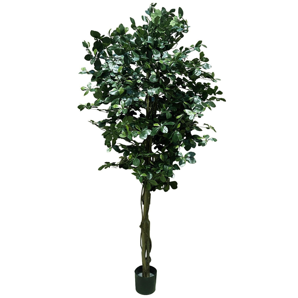 180cm Artificial Fire Retardant Black Olive Tree and Natural Trunk